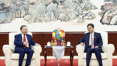 Tổng Bí thư, Chủ tịch nước Tô Lâm tiếp Bí thư Khu ủy Khu tự trị dân tộc Choang Quảng Tây (Trung Quốc)