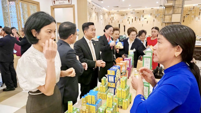 Improving the quality and competitiveness of OCOP products.