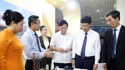 Da Nang mempamerkan lebih 500 produk yang tersendiri dan tipikal.