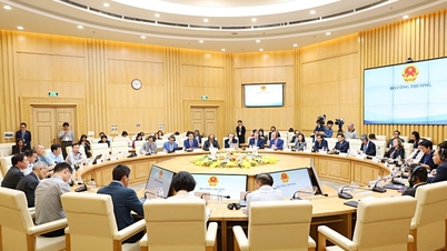 ویتنام کی پائیدار اپیل