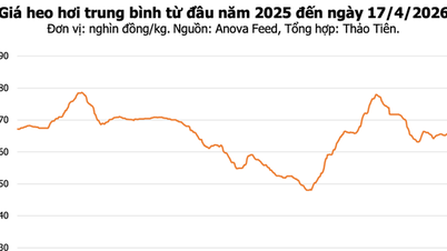 Harga daging babi pada 17 April 2026: Tidak berubah di seluruh negara, harga tertinggi pada 69,000 VND/kg.