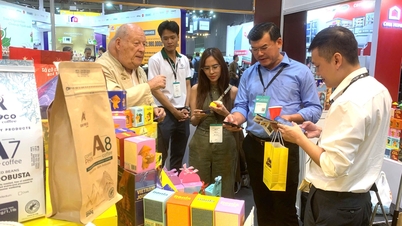 Cinco empresas de Dak Lak participaron en la Feria de Cafés 2026.
