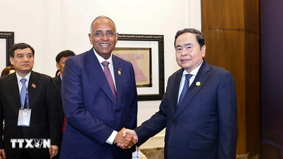 Fremme handels- og investeringssamarbeidet mellom Vietnam og Elfenbenskysten sterkt.