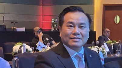 Der offizielle Nachfolger von Liu Xiubao als Vorsitzender der VBF wurde bekanntgegeben; er steht vor den bevorstehenden wirtschaftlichen Herausforderungen.