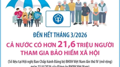 Pada akhir Maret 2026: Lebih dari 21,6 juta orang di seluruh negeri akan berpartisipasi dalam asuransi sosial.