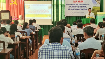 Školení o hodnocení produkce rýže za účelem splnění certifikačních kritérií pro „zelenou vietnamskou rýži s nízkými emisemi“.