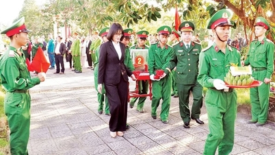순교자, 순교자 묘소, 순교자 묘지에 관한 데이터베이스가 "정확하고, 완전하며, 깨끗하고, 활력 넘치도록" 보장합니다.