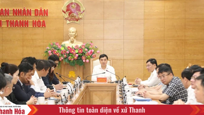 Az Aeon Mall Thanh Hoa projekt akadályainak elhárítása és a haladás felgyorsítása.