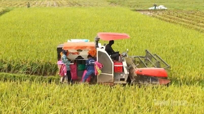 A mecanização proporciona alavancagem para a economia rural.
