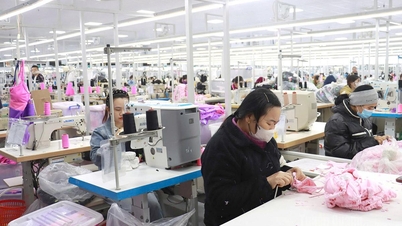 De industrie van Tuyen Quang: een doorbraak om haar rol als pijler van de economie te bevestigen.