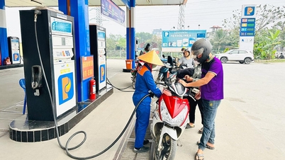 Reducing fuel taxes to zero: Creating room to support the economy.