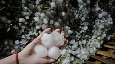 Vydání průvodce rozpoznáváním příznaků hrozících krupobití.