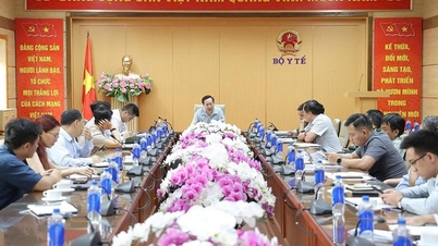 ពន្លឿនការបញ្ចប់ប្រព័ន្ធការពារអគ្គីភ័យនៅអគារលេខ 2 នៃមន្ទីរពេទ្យបាច់ម៉ៃ និងមន្ទីរពេទ្យវៀតឌឹកឱ្យបានទាន់ពេលវេលា។
