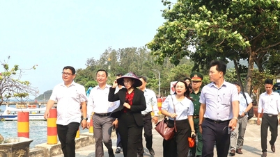 Pelatihan untuk meningkatkan kualitas layanan pariwisata di Cu Lao Cham.