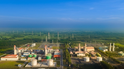Dong Nai: Menghilangkan hambatan dan mempercepat kemajuan proyek-proyek di bawah Rencana Pengembangan Energi VIII.