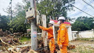 Corporación de Electricidad de Vietnam: Fortalecimiento de la capacidad de respuesta ante desastres.