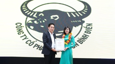 Binh Dien Fertilizer Joint Stock Company: Elkötelezettség a felelősség iránt és a nagyobb magasságok felé vezető út.
