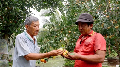 Mengembangkan koperasi yang terkait dengan produksi dan konsumsi di Kelurahan Dong Thanh.