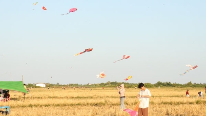 រដូវក្ដៅដ៏រស់រវើកជាមួយនឹងវាលលេងខ្លែងនៅបាទ្រី។
