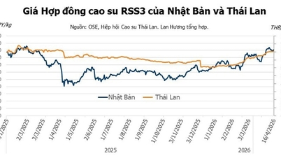 Gummipriserna den 17 april 2026: Japan återhämtar sig efter 6 dagar i rad av nedgång.