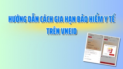 VneID پر اپنے ہیلتھ انشورنس کی تجدید کے بارے میں ہدایات