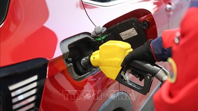 Цены на нефть упали на фоне перспектив прекращения конфликта на Ближнем Востоке.