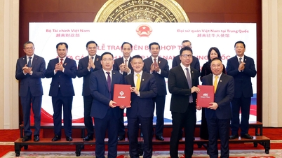 Die Sun Group unterzeichnet eine Absichtserklärung im Wert von 2,3 Milliarden US-Dollar zur Zusammenarbeit mit einem großen chinesischen Inneneinrichtungsunternehmen.