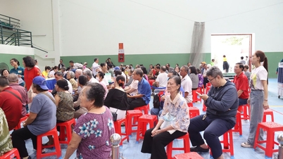 The transformation of Ho Chi Minh City's healthcare sector towards universal healthcare.