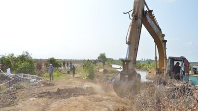Binh Son commune enforces measures to restore over 8.3 hectares of illegally occupied land to its original state.