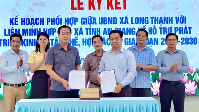 Long Thanh beldesinin 2026 yılına kadar kolektif ekonomiyi geliştirme vizyonu.