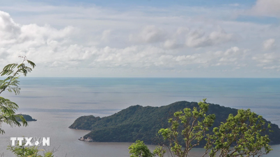 Mengembangkan Pulau Hon Khoai untuk memenuhi kebutuhan dan tugas dalam situasi baru.