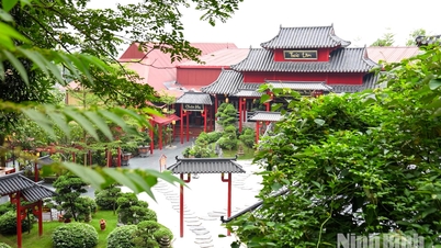 Cay Thi Pagode – Ein kulturelles und spirituelles Highlight inmitten der Berglandschaft.