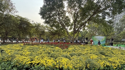 Kota Ho Chi Minh terus memelihara taman dan kebun sementara di lahan kosong sambil menunggu proyek-proyek mendatang.