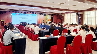 Lao Cai participa do Workshop de Cooperação Conjunta China-Vietnã para o Controle de Doenças Tropicais Transfronteiriças Chave.