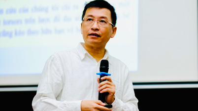 Profesor Phung Ho Hai: De la Olimpiada Internacional de Matemáticas al prestigioso Premio Humboldt.