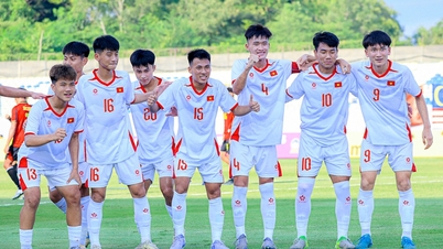Media Indonesia menghujani tim U17 Vietnam dengan pujian di turnamen Asia Tenggara tersebut.