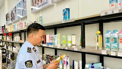 Da Nang se ocupă de numeroase cazuri de produse contrafăcute și încălcări ale siguranței alimentare.