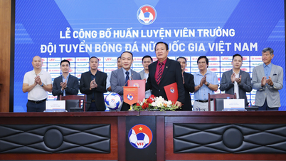 Hoang Van Phuc succeeds coach Mai Duc Chung as the new head coach of the national women's football team.