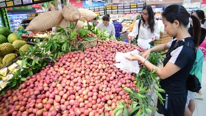 ផលិតផលកសិកម្មវៀតណាម ទោះបីជាមានតម្លៃខ្ពស់ក៏ដោយ ក៏នៅតែមានតម្រូវការខ្ពស់ដដែល។