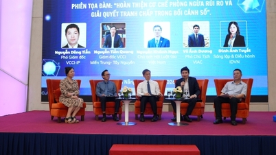 Da Nang aspira a un entorno de inversión transparente y a la reducción de los riesgos legales.