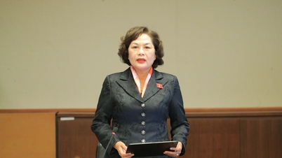 A vice-presidente da Assembleia Nacional, Nguyen Thi Hong, trabalha com o Comitê Permanente do Comitê Econômico e Financeiro.