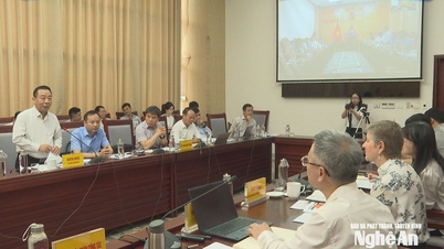 Líderes provinciais de Nghe An realizaram uma reunião com o Banco Mundial a respeito do Projeto de Desenvolvimento Urbano para Adaptação às Mudanças Climáticas.