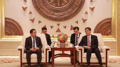 El secretario del Comité del Partido de la ciudad de Hanoi se reunió con el secretario del Comité del Partido de la Región Autónoma Zhuang de Guangxi.
