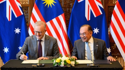 Raportul pieței australiene (10-17 aprilie 2026)