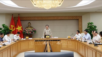 조건부 사업 부문의 수를 검토하고 최소 30% 이상 지속적으로 줄여나가십시오.