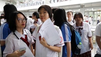 Thi đánh giá năng lực: Điểm tiếng Việt nhiều thí sinh thấp nhất trong 4 phần