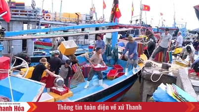 Thanh Hoa-provinsen utfärdar en plan för utredning och bedömning av kommersiellt fiske.