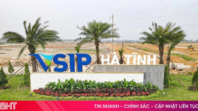 First project granted permission to enter VSIP Ha Tinh Industrial Park.