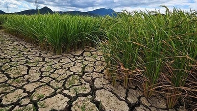 Prawdopodobne jest wystąpienie silnego zjawiska El Niño, co może skutkować wzrostem temperatur, suszą i niedoborami wody w wielu rejonach w 2026 r.