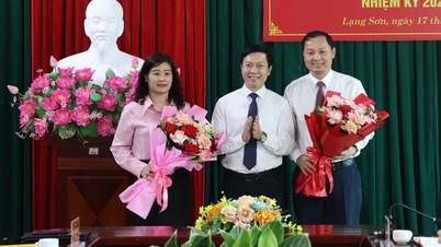 ການຈັດຕັ້ງຕຳແໜ່ງປະທານ ແລະ ຮອງປະທານສະມາຄົມທະນາຍຄວາມແຂວງຄືນໃໝ່.